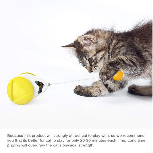 Interactive Cat Toys Catnip Ball Toy,Cat Toys Chaser for Indoor Cats,Cat Balance Swing Car Toy,360 Degree Self Rotating Ball Car Toy