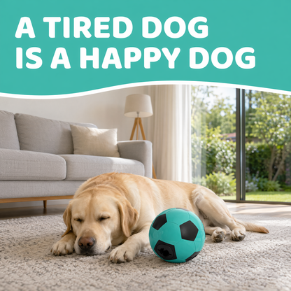Interactive Dog Toys Treat Dispensers - Giggle Squeaky Dog Soccer Ball Rewards Puzzle to Keep Them Busy, Mental Stimulation Enrichment Food Dispensing for Small Medium Large Breeds, Blue