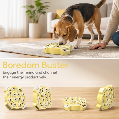 Level 2-in-1 Dog & Cat Puzzle Toy, Mental Stimulation for Dogs Indoor | XL Size, 2-Level puzzle adds mental stimulation for dogs and cats through sniffing, pawing, and reward-based play.