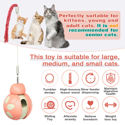 Cat Treat Interactive Toy, Indoor Puzzle Slow Feeding Mental Stimulation Sliding Rolling Cat Toy Ball with Cat Teaser, Cat Treat Dispenser Toy for Large, Medium and Small Cats