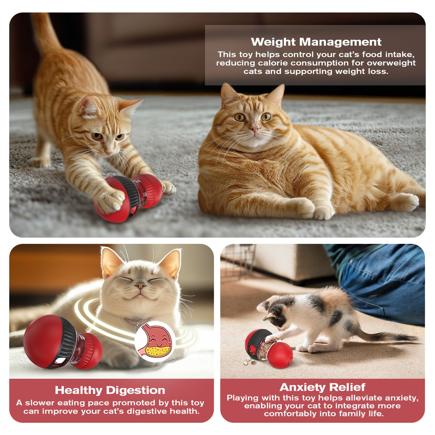 Cat Interactive Toys,Cat Treat Dispenser,Cat Toys for Indoor Cats,Sound Cat Puzzle Feeder Stimulating Activity,Portion Control Slow Feeder with Adjustable Food Intake,Suitable for Kitten and Adult Cat