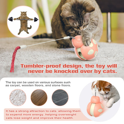 Cat Treat Interactive Toy, Indoor Puzzle Slow Feeding Mental Stimulation Sliding Rolling Cat Toy Ball with Cat Teaser, Cat Treat Dispenser Toy for Large, Medium and Small Cats
