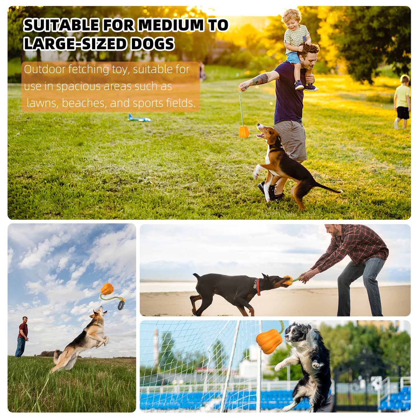Large Dog Chew Toy with Squeaker, Tough TPR Pumpkin Toy for Strong Chewers (40 lbs+), Textured Dental Ridges, Outdoor & Water Play, Dog Pool, Beach & Fetch Toys for Summer