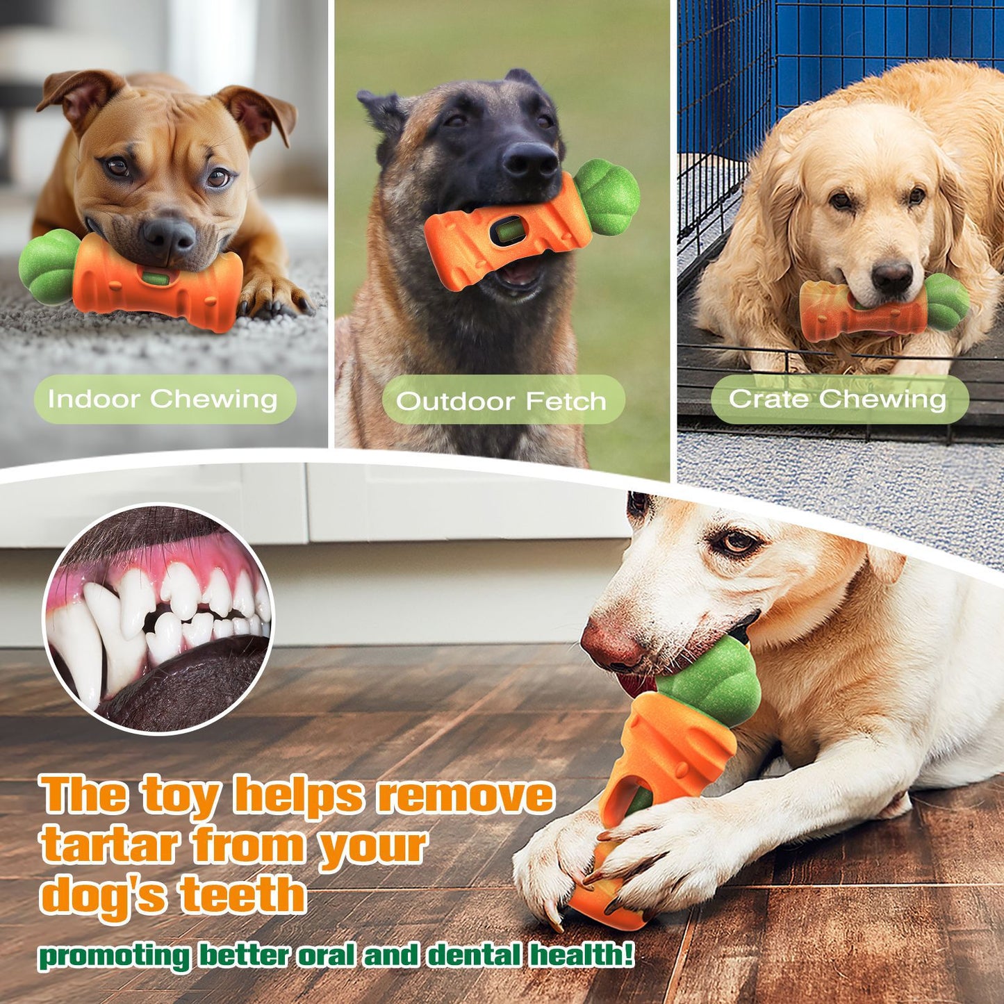 Dog Bully Stick Holder – Safe Chew Toy for Aggressive Chewers, Fun Carrot Design, Prevents Choking, Long-Lasting Treat Time, Ideal for Small to Large Dogs (Carrot Style-7in)