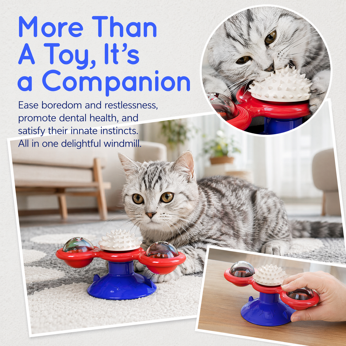 Interactive Windmill Cat Toys with Catnip : Cat Toys for Indoor Cats Funny Kitten Toys with LED Light Ball Suction Cup‖Cat Nip Toy for Cat chew Exercise
