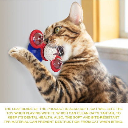 Interactive Windmill Cat Toys with Catnip : Cat Toys for Indoor Cats Funny Kitten Toys with LED Light Ball Suction Cup‖Cat Nip Toy for Cat chew Exercise