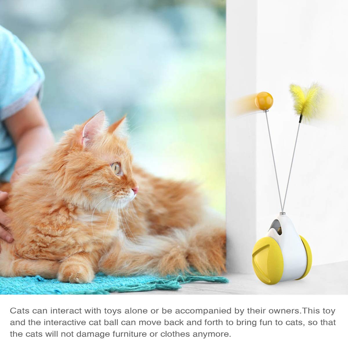 Interactive Cat Toys Catnip Ball Toy,Cat Toys Chaser for Indoor Cats,Cat Balance Swing Car Toy,360 Degree Self Rotating Ball Car Toy