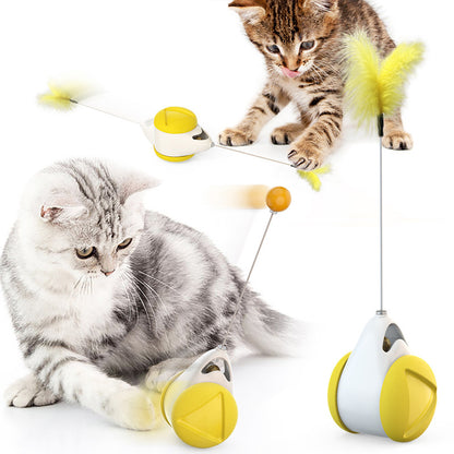 Interactive Cat Toys Catnip Ball Toy,Cat Toys Chaser for Indoor Cats,Cat Balance Swing Car Toy,360 Degree Self Rotating Ball Car Toy