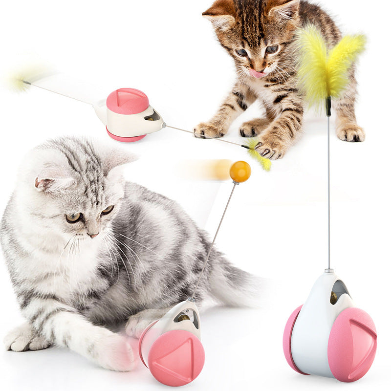 Interactive Cat Toys Catnip Ball Toy,Cat Toys Chaser for Indoor Cats,Cat Balance Swing Car Toy,360 Degree Self Rotating Ball Car Toy