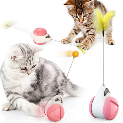 Interactive Cat Toys Catnip Ball Toy,Cat Toys Chaser for Indoor Cats,Cat Balance Swing Car Toy,360 Degree Self Rotating Ball Car Toy